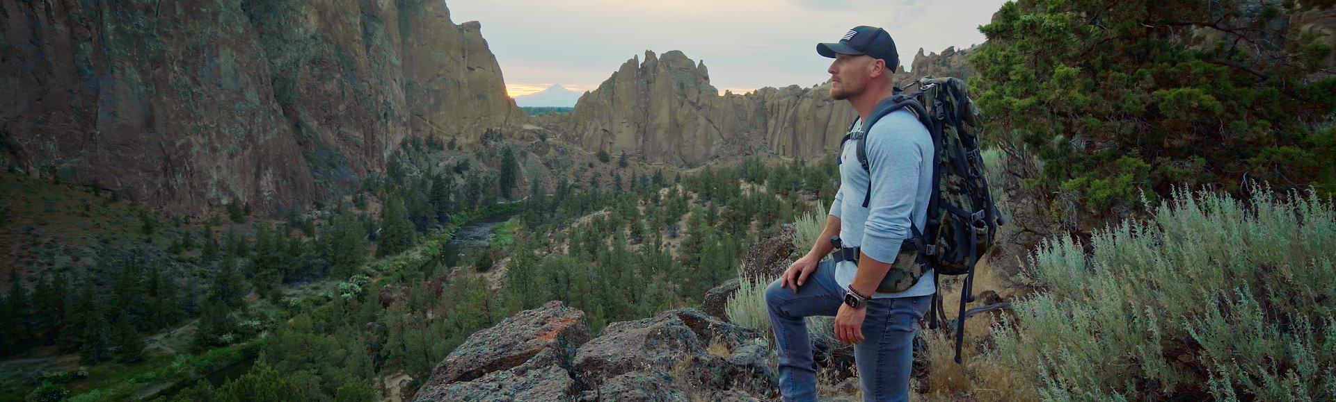 Gentle Lion resources 
